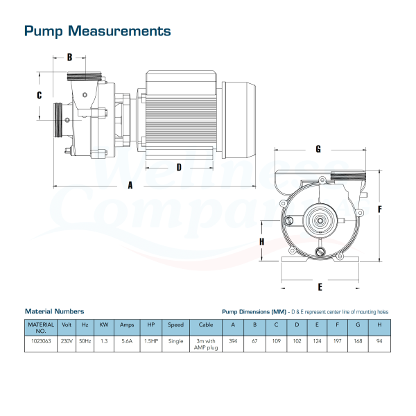 Balboa Whirlpool Pumpe 1.5 PS 230V 1-Speed 50Hz