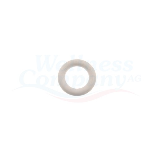 Jacuzzi® Whirlpool O-Ring für Temperatursensoren